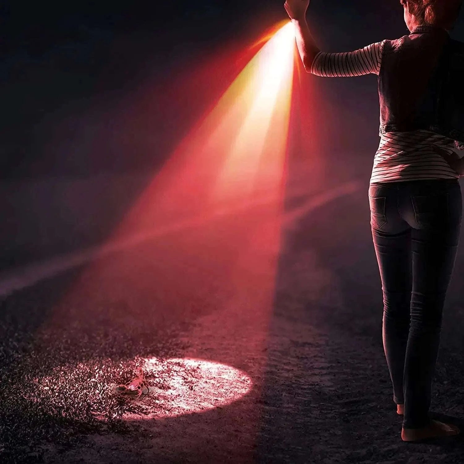Red Light Penlight for Night Observation and Outdoor Use-702 red lgiht / Black / AAA