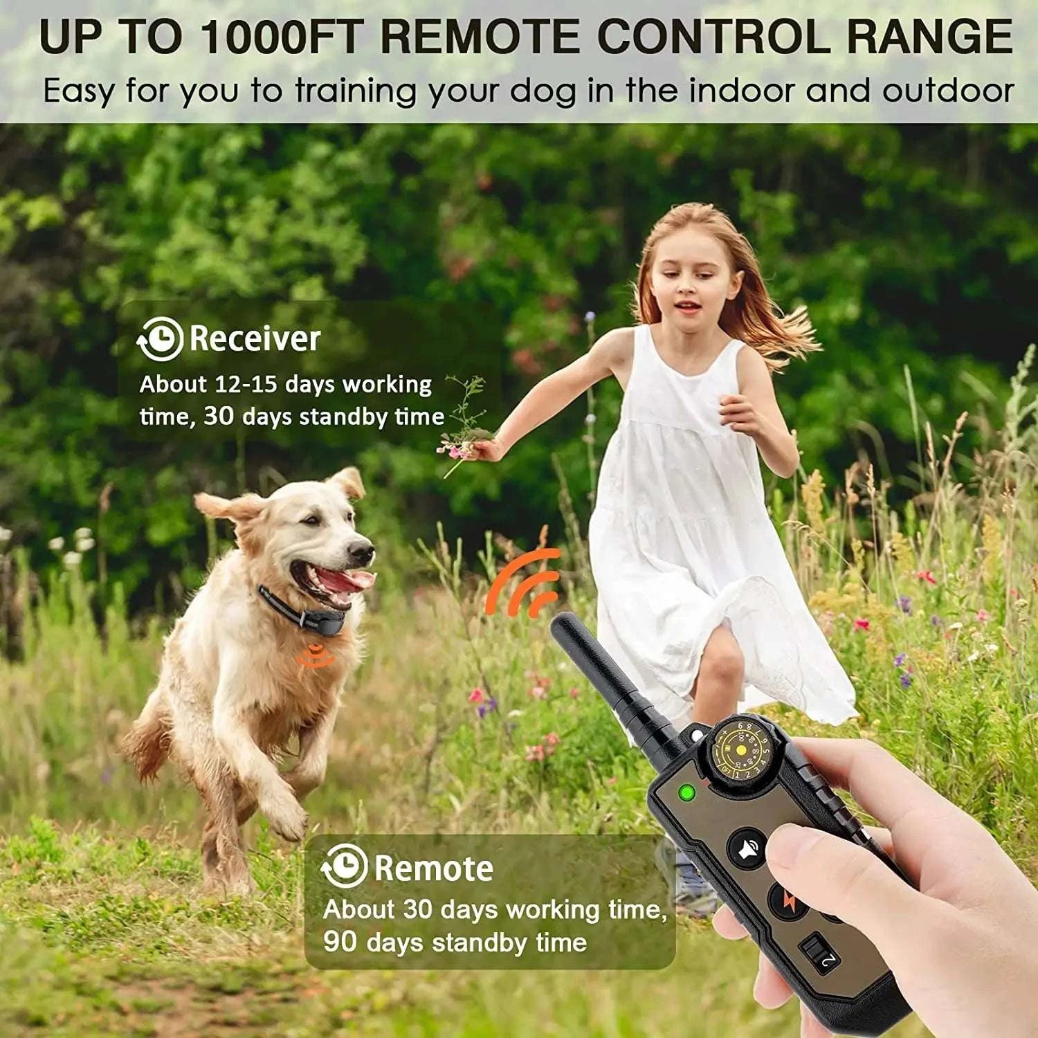 Remote Control Dog Training Collar with Waterproof Receiver-Control one dogs