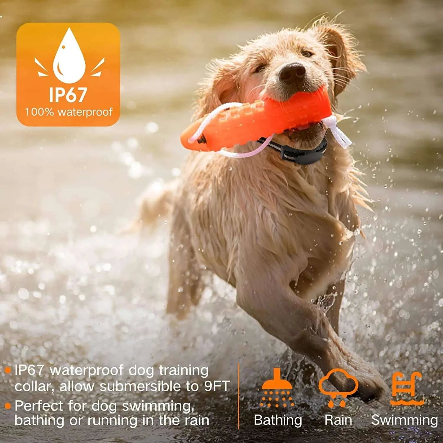 Remote Control Dog Training Collar with Waterproof Receiver-Control one dogs