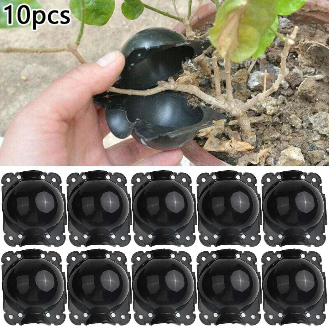 Reusable Plant Root Growing Box for Easy Plant Propagation-10pcs-5cm