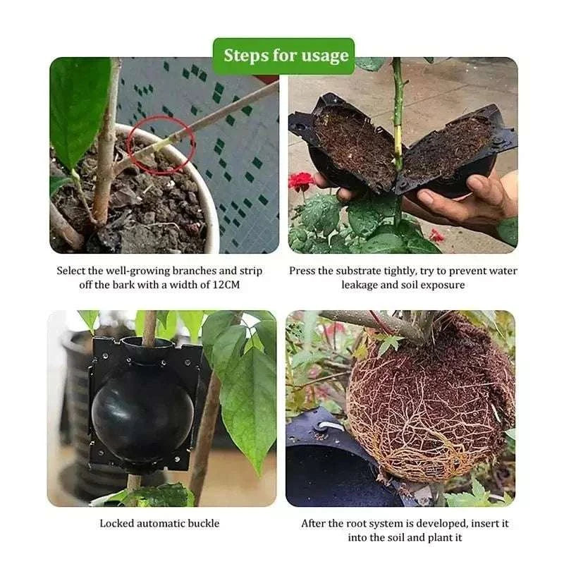 Reusable Plant Root Growing Box for Easy Plant Propagation-10pcs-5cm