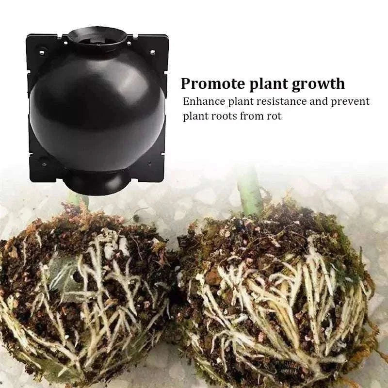 Reusable Plant Root Growing Box for Easy Plant Propagation-10pcs-5cm