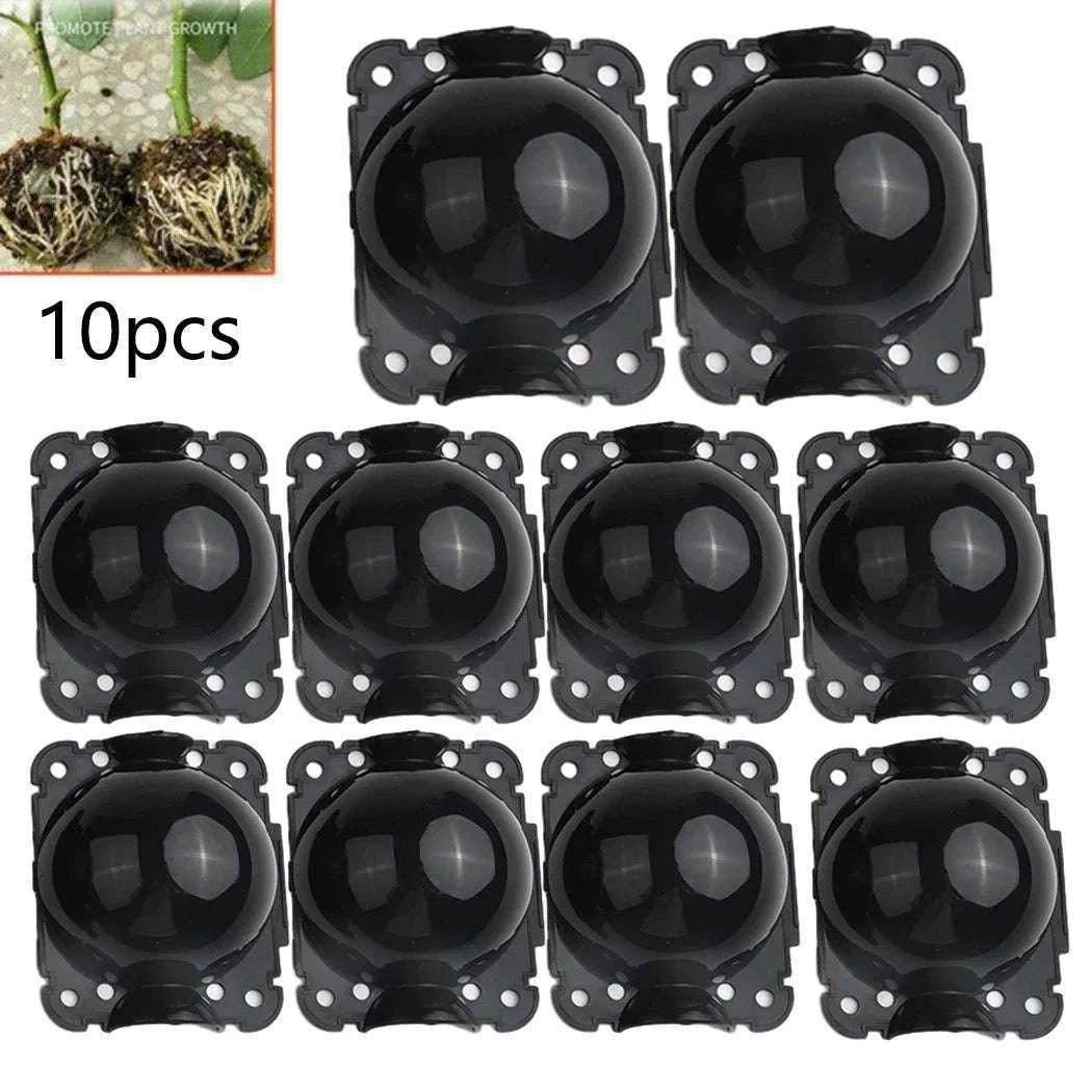 Reusable Plant Root Growing Box for Easy Plant Propagation-10pcs-5cm