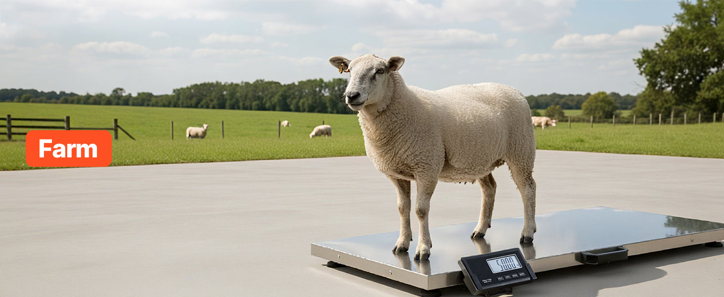 660 lb Digital Shipping Scale with LCD Display & AC/DC Power