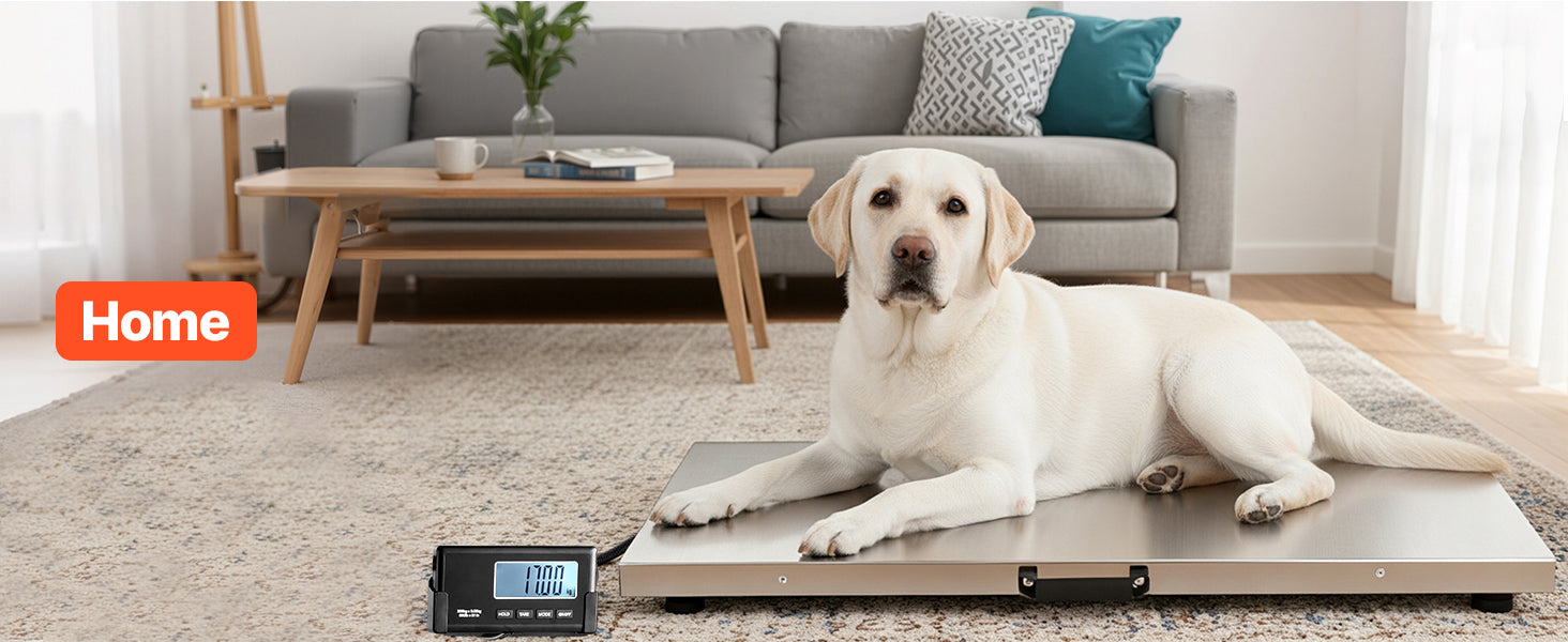 660 lb Digital Shipping Scale with LCD Display & AC/DC Power