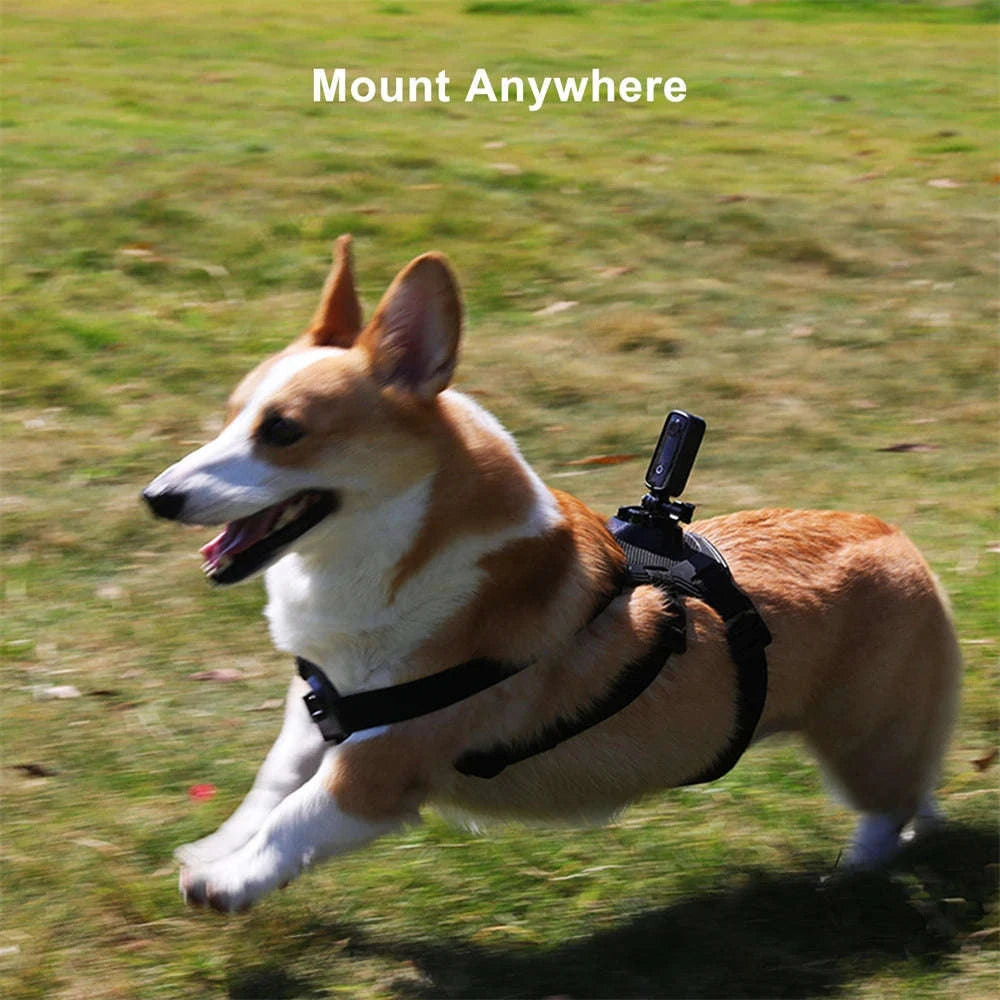 SJCAM C100 Plus 4K Action Camera-C100 Plus Black / Standard