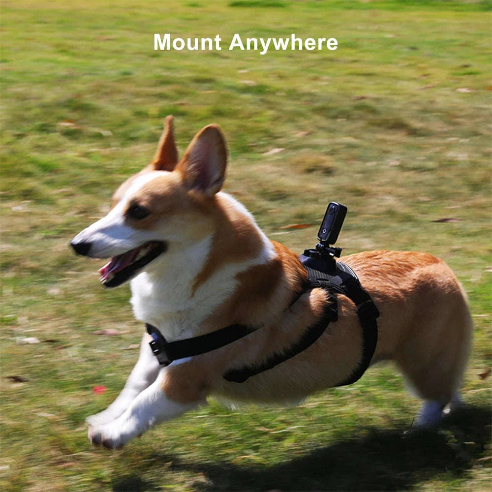 SJCAM C100 Plus 4K Action Camera-C100 Plus Black / Standard