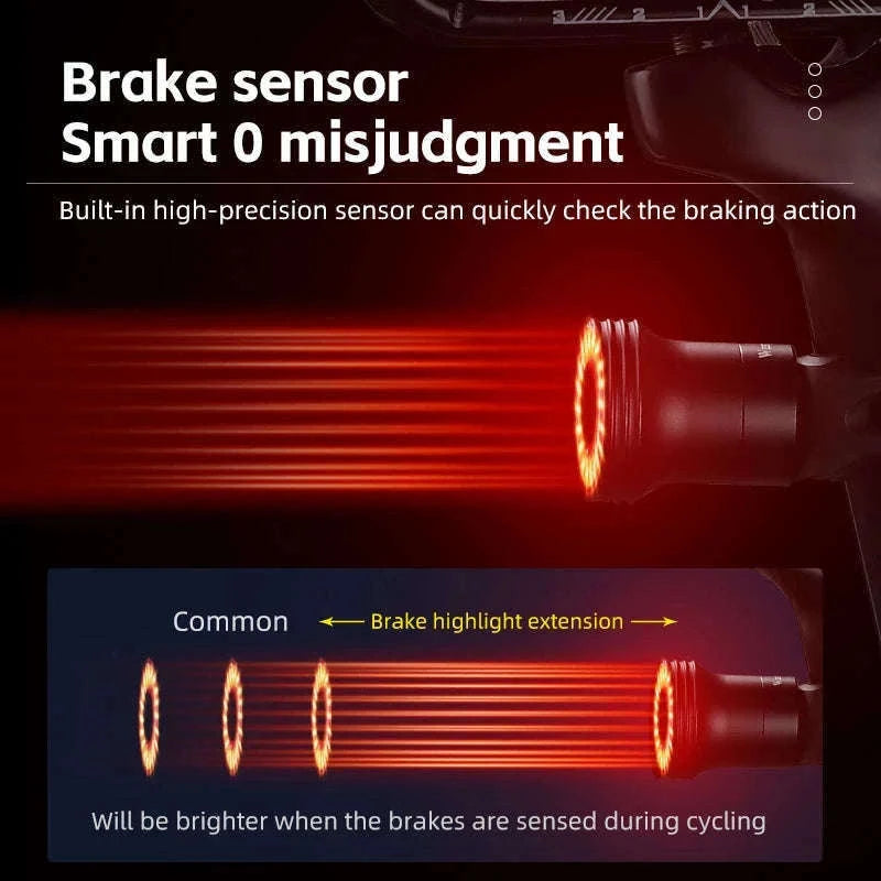Smart Bike Tail Light with Auto Sensing for Safer Rides-0701367 A Style