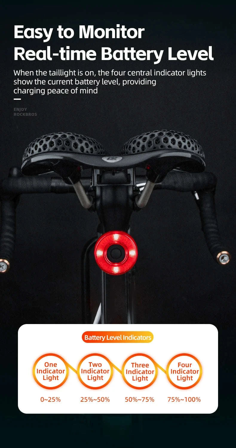 Smart Bike Tail Light with Brake Sensor and USB Rechargeable Waterproof Design-24520007001