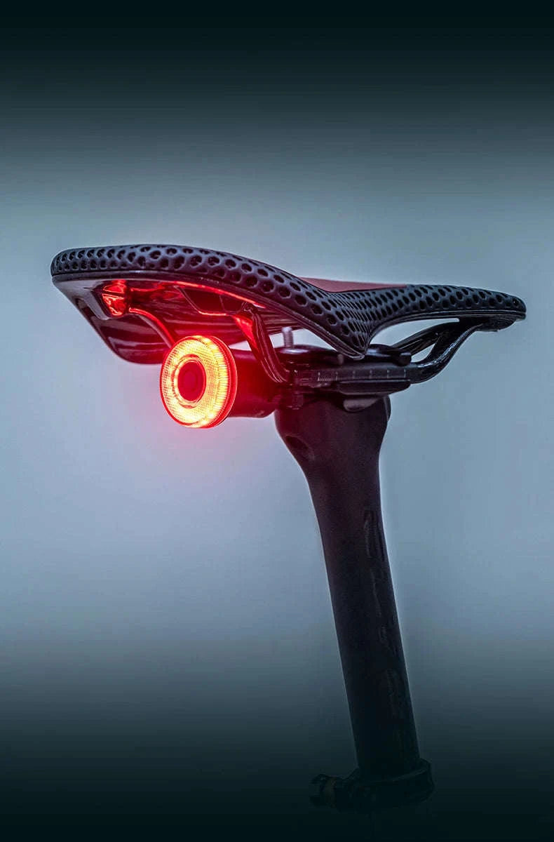 Smart Bike Tail Light with Brake Sensor and USB Rechargeable Waterproof Design-24520007001