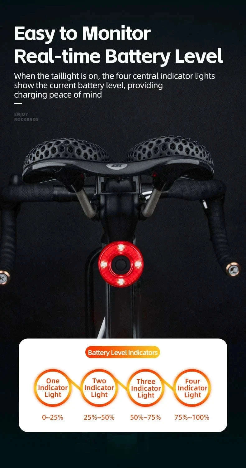 Smart Bike Tail Light with Brake Sensor and USB Rechargeable Waterproof Design-24520007001