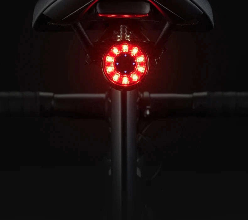 Smart Bike Tail Light with Brake Sensor & Type-C Charging-Q1MAX