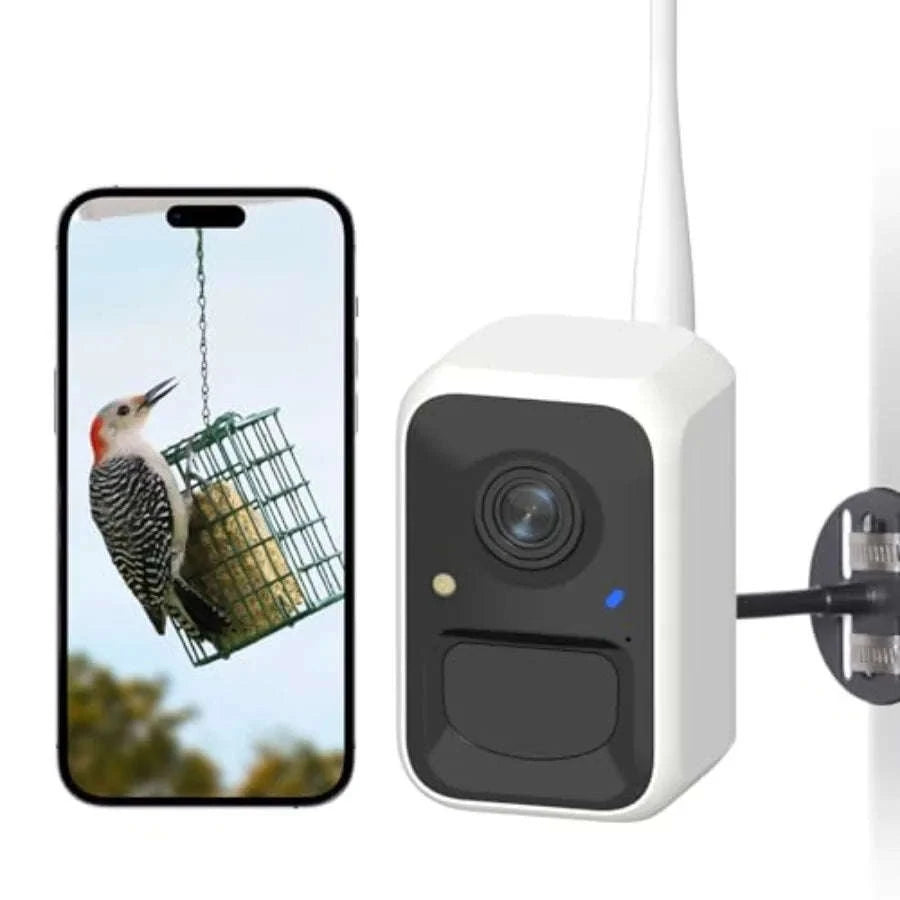 Smart Bird Feeder Camera with Adjustable Brackets for Outdoor Use-United States / aspic