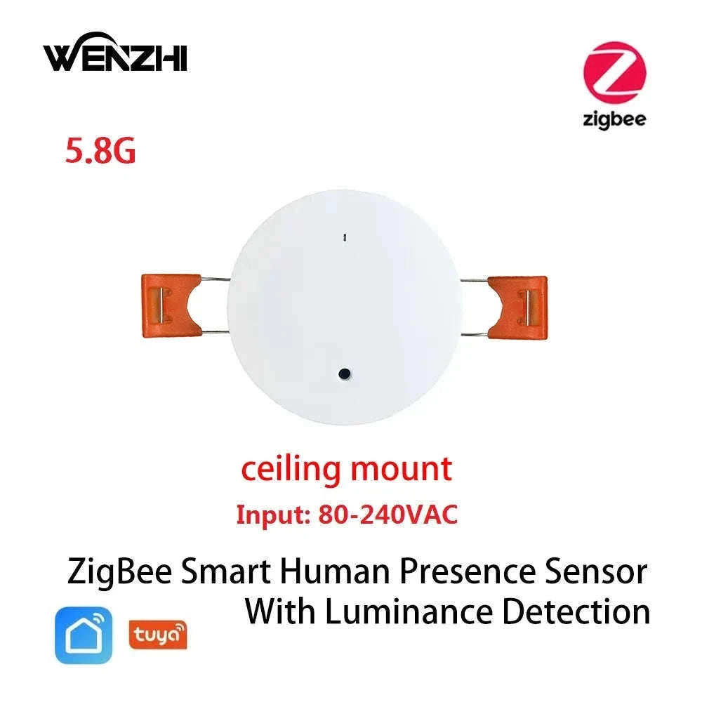 Smart mmWave Human Presence Sensor with Light & Distance Detection-5.8G Wall Wifi / China Mainland