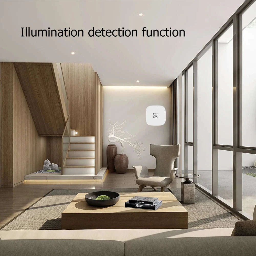 Smart mmWave Human Presence Sensor with Light & Distance Detection-5.8G Wall Wifi / China Mainland