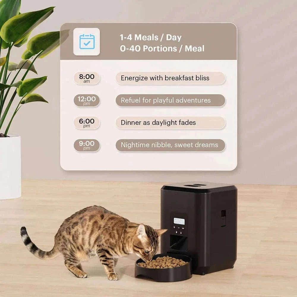 Smart Pet Feeder Automatic Cat & Dog Food Dispenser-Black Button Feeder