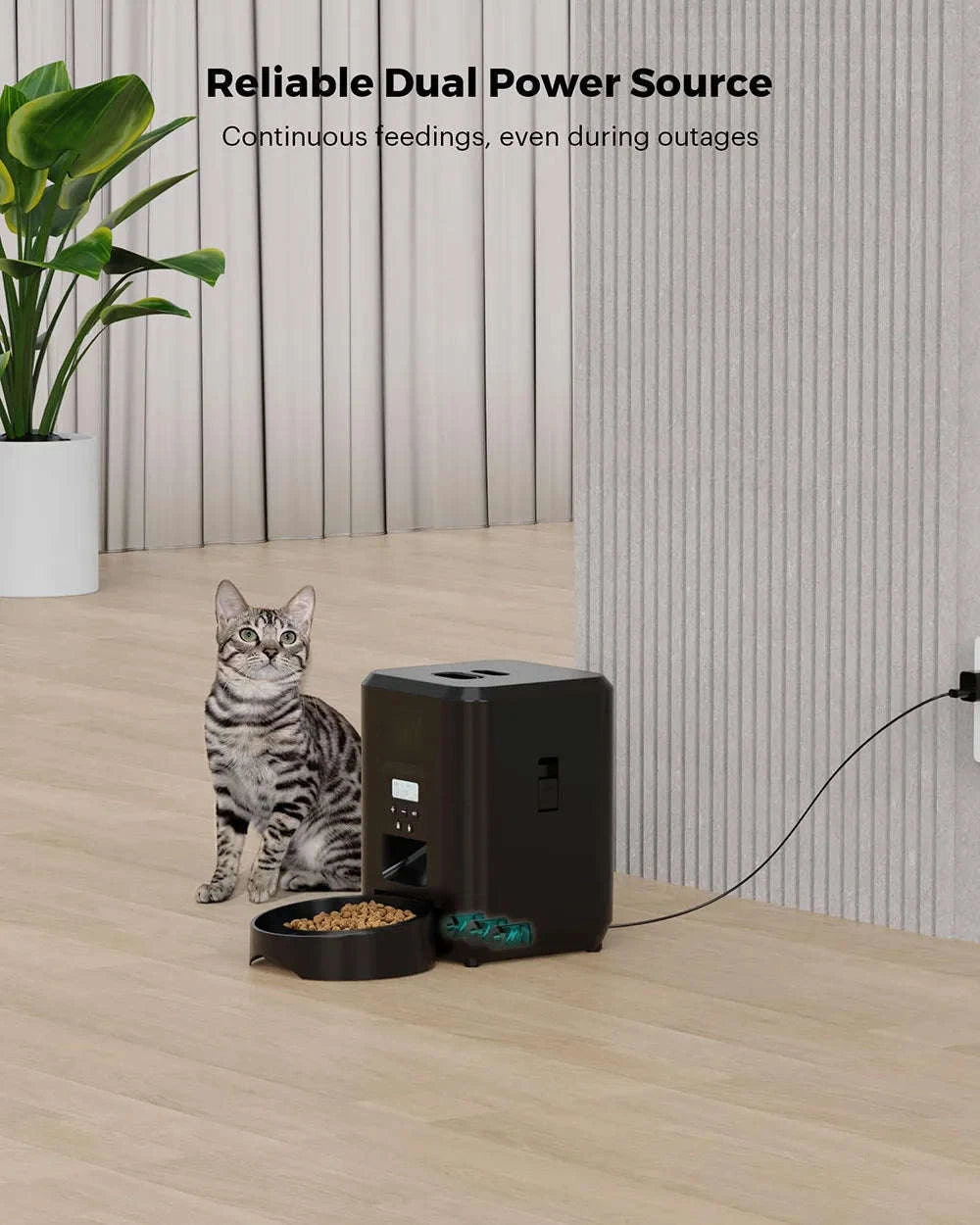 Smart Pet Feeder Automatic Cat & Dog Food Dispenser-Black Button Feeder