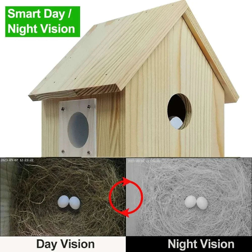Smart WiFi Bird House Camera 4MP HD with Night Vision & App-WILD14 256G card / EU Plug
