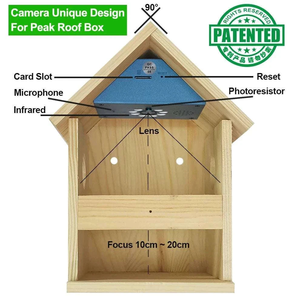 Smart WiFi Bird House Camera 4MP HD with Night Vision & App-WILD14 256G card / EU Plug