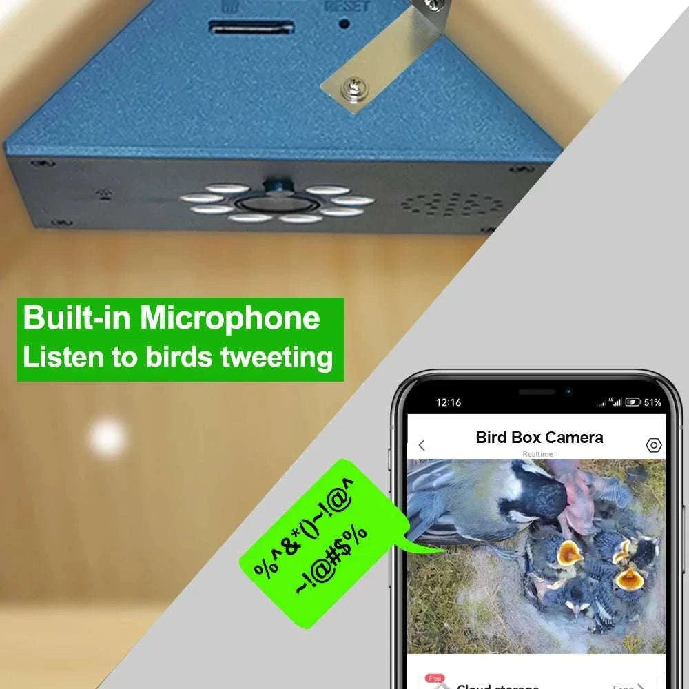 Smart WiFi Bird House Camera 4MP HD with Night Vision & App-WILD14 256G card / EU Plug