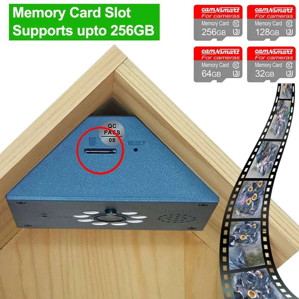 Smart WiFi Bird House Camera 4MP HD with Night Vision & App-WILD14 256G card / EU Plug