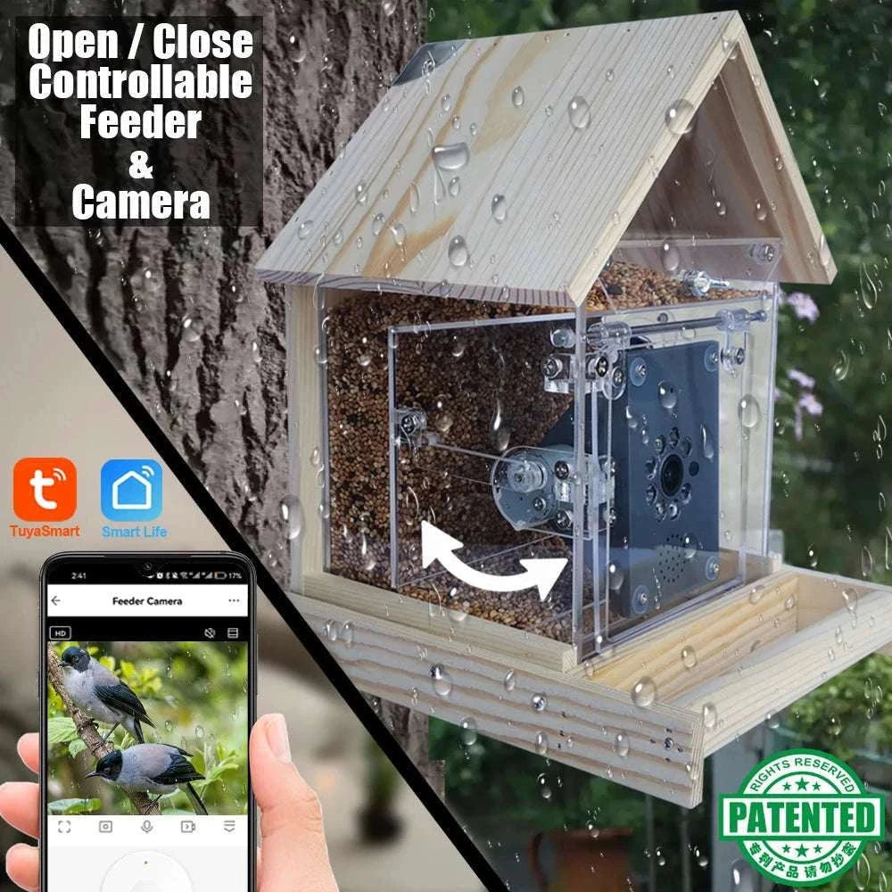 Smart WiFi Bird House Camera 4MP HD with Night Vision & App-WILD14 256G card / EU Plug