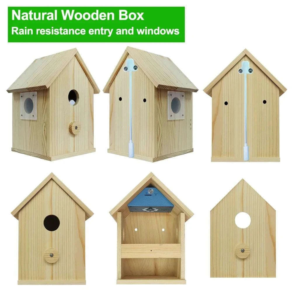 Smart WiFi Bird House Camera 4MP HD with Night Vision & App-WILD14 256G card / EU Plug