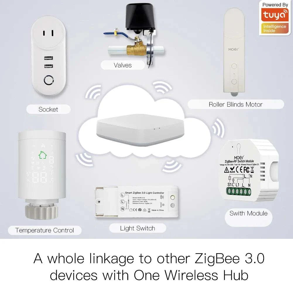 Smart ZigBee Motorized Blind Drive with App & Voice Control-Type-C port 1 PC / United States