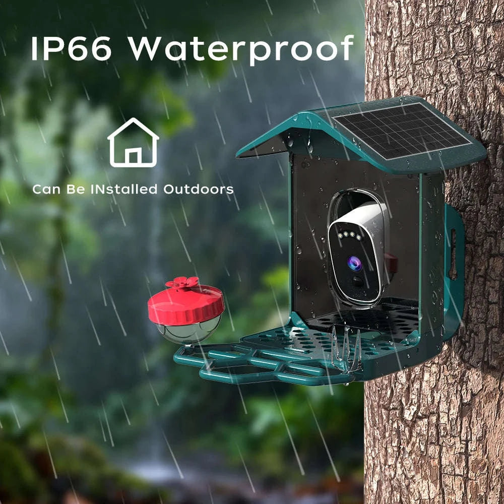 Solar Powered Bird Feeder Camera with 2K Night Vision-2K Camera / 2.8mm / China Mainland