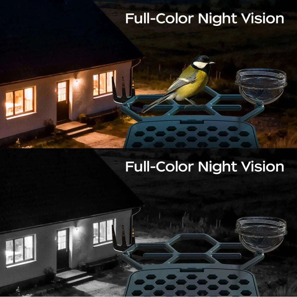 Solar Powered Bird Feeder Camera with 2K Night Vision-2K Camera / 2.8mm / China Mainland