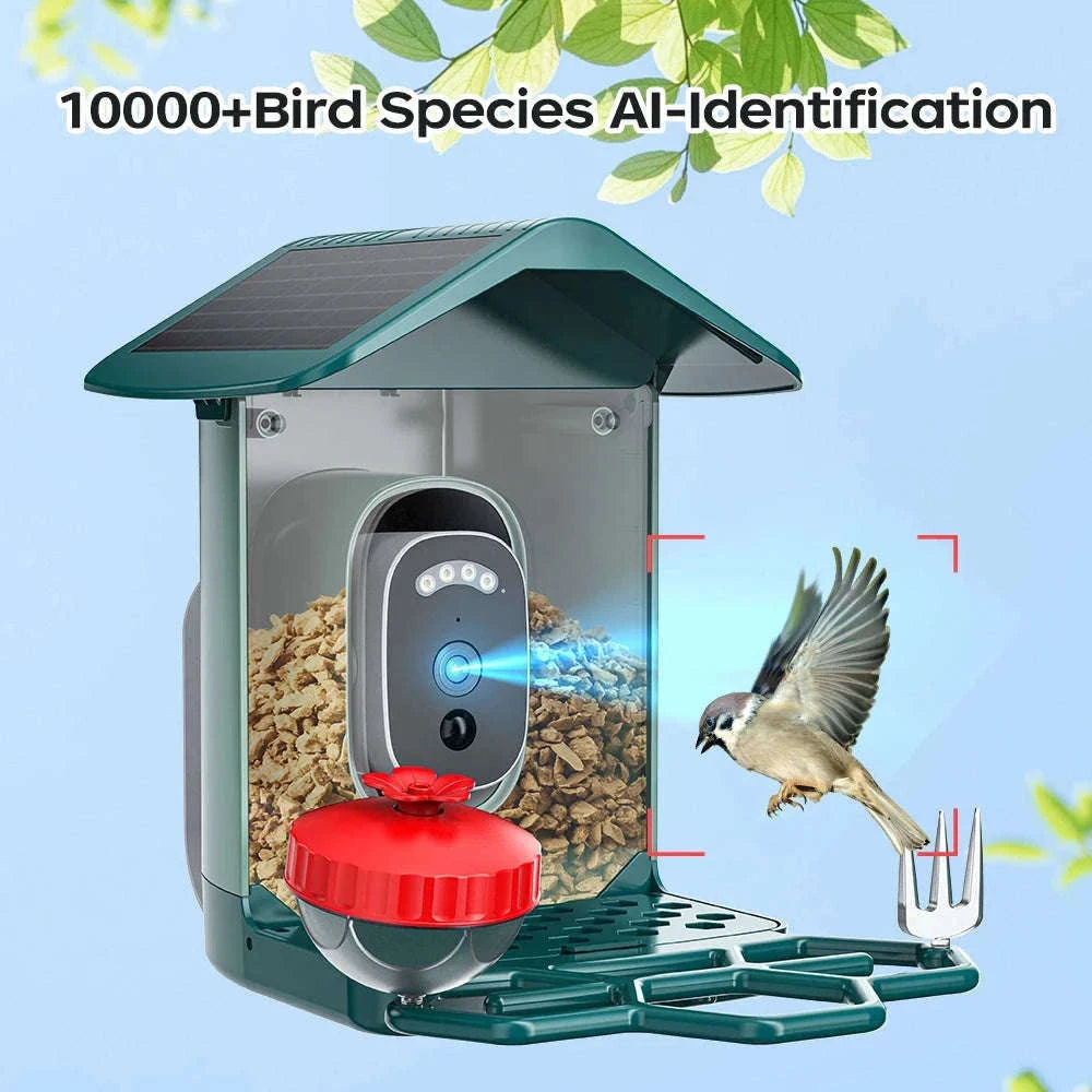 Solar Powered Bird Feeder Camera with 2K Night Vision-2K Camera / 2.8mm / China Mainland