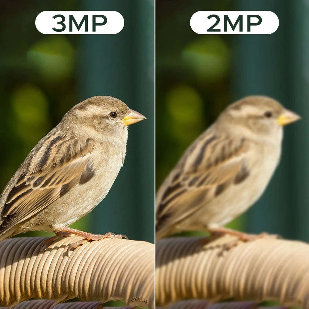 Solar Powered Bird Feeder Camera with 2K Night Vision-2K Camera / 2.8mm / China Mainland