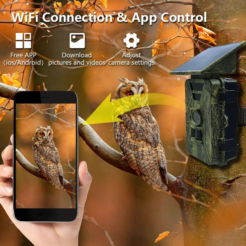 Solar Powered Trail Camera with 8K Video and 60MP Photos-Default Title