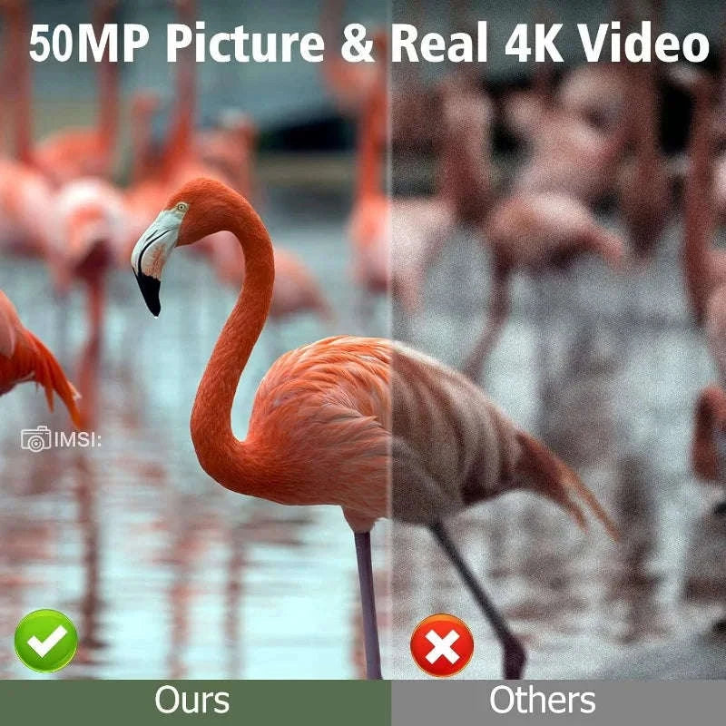 Solar Wildlife Trail Camera with 50MP Photos and 4K Video-Default Title