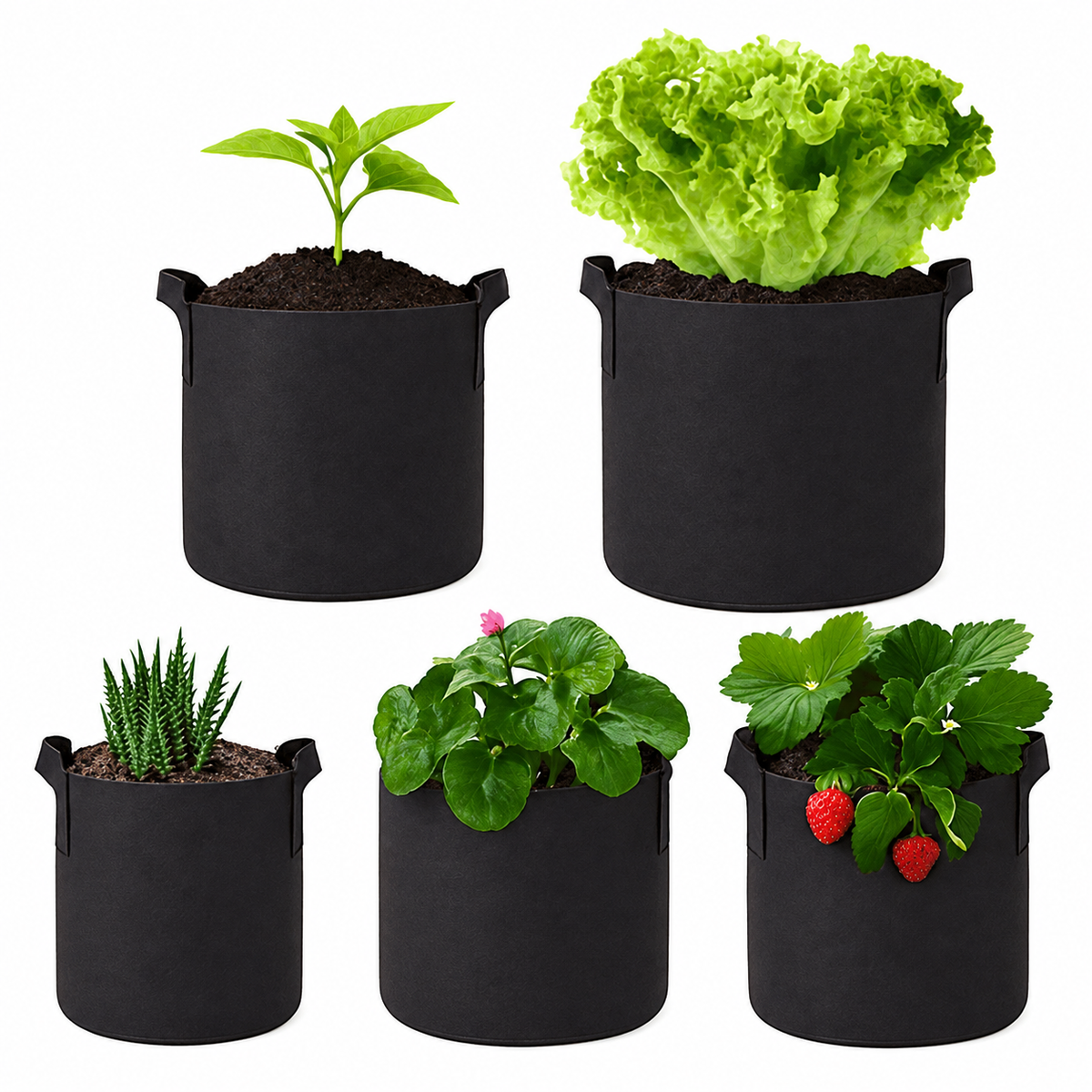 5-Pack Fabric Grow Bags for Vegetables, Flowers & Herbs
