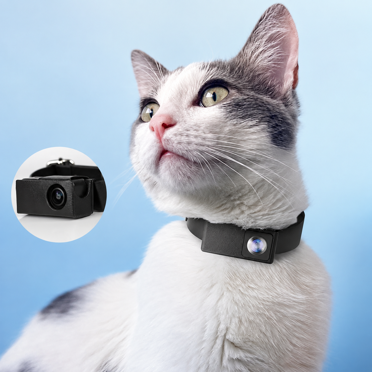 HD 1080P Pet Collar Camera with 170° Wide Angle Recording