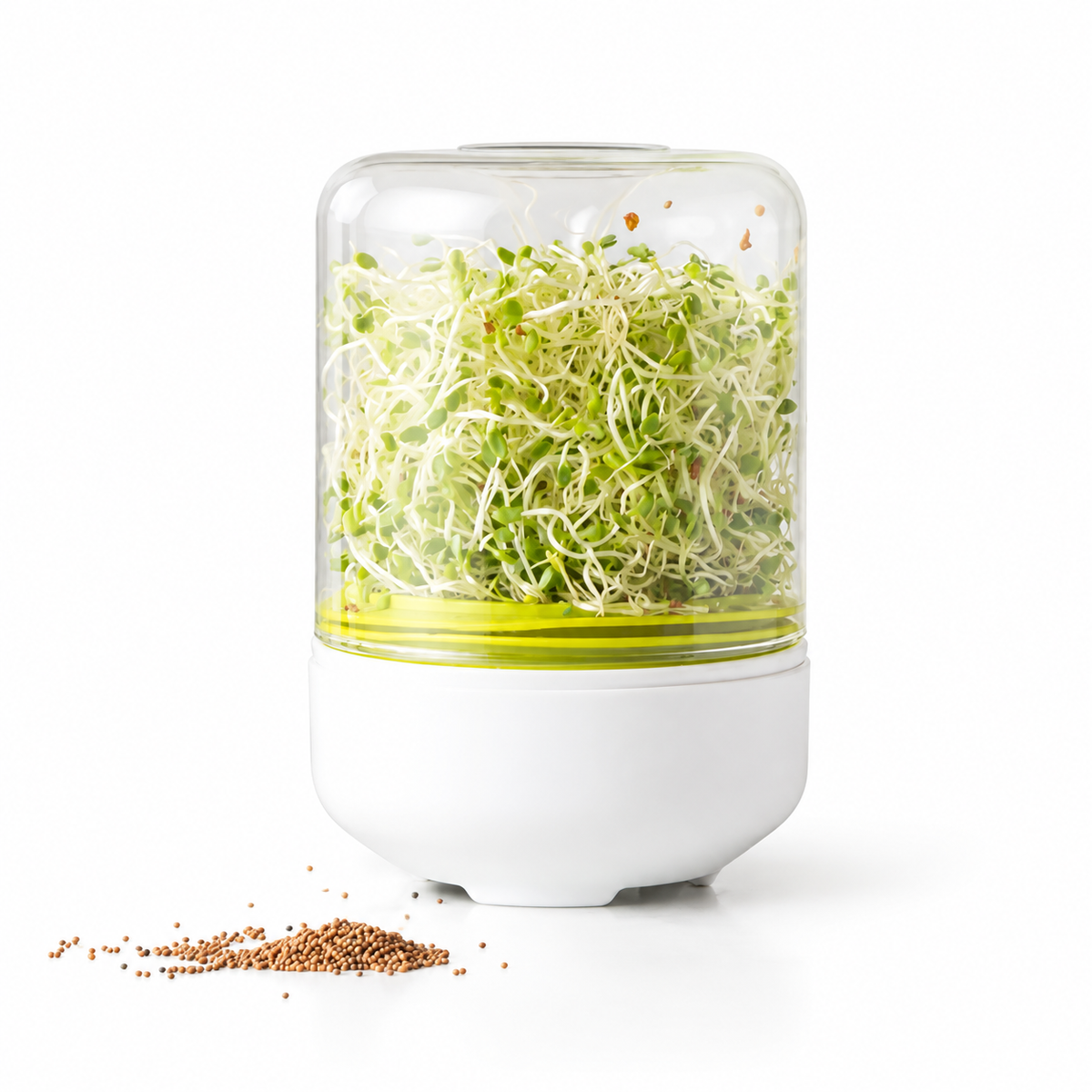 Countertop Seed Sprouting Container
