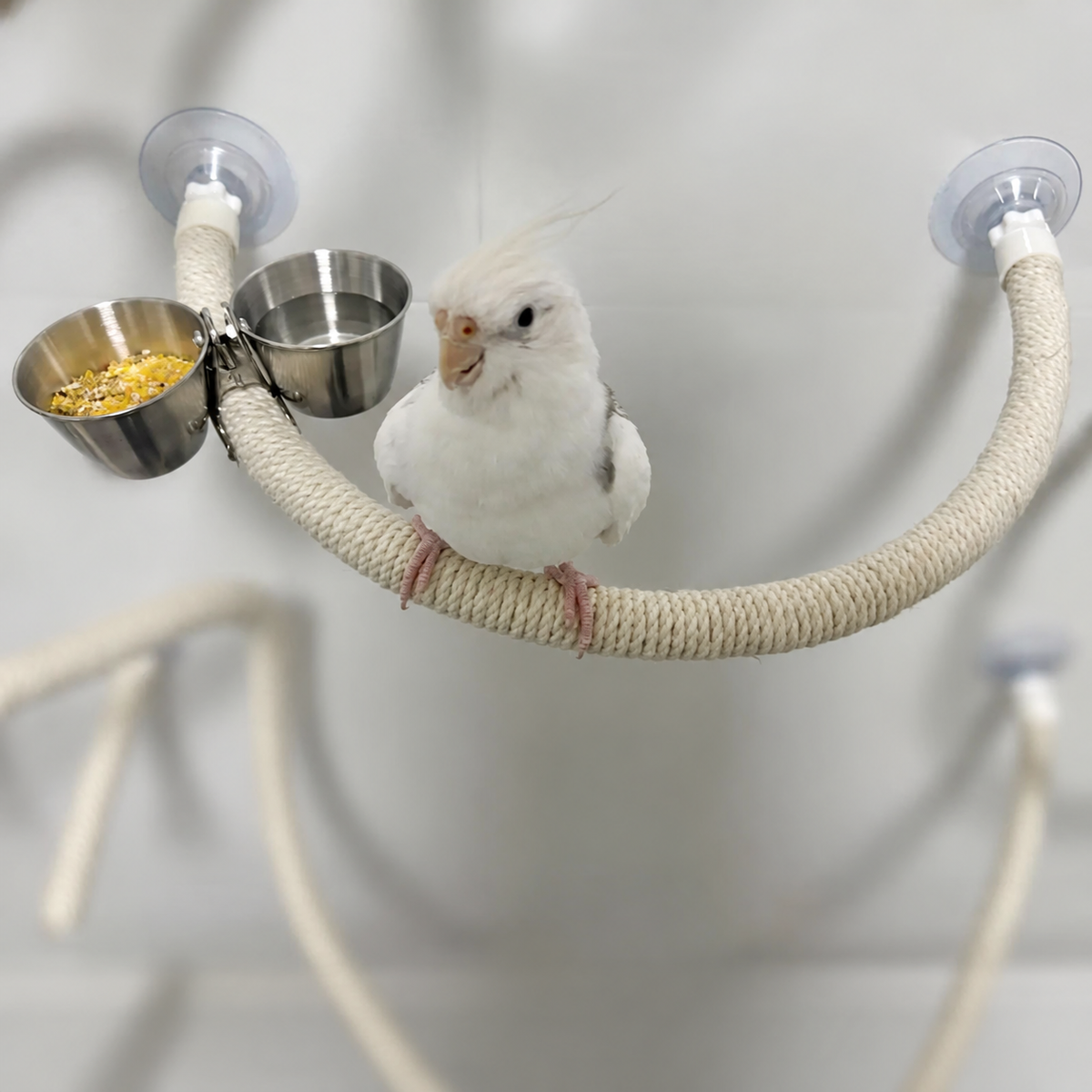 Bendable Rope Bird Perch with Suction Cups