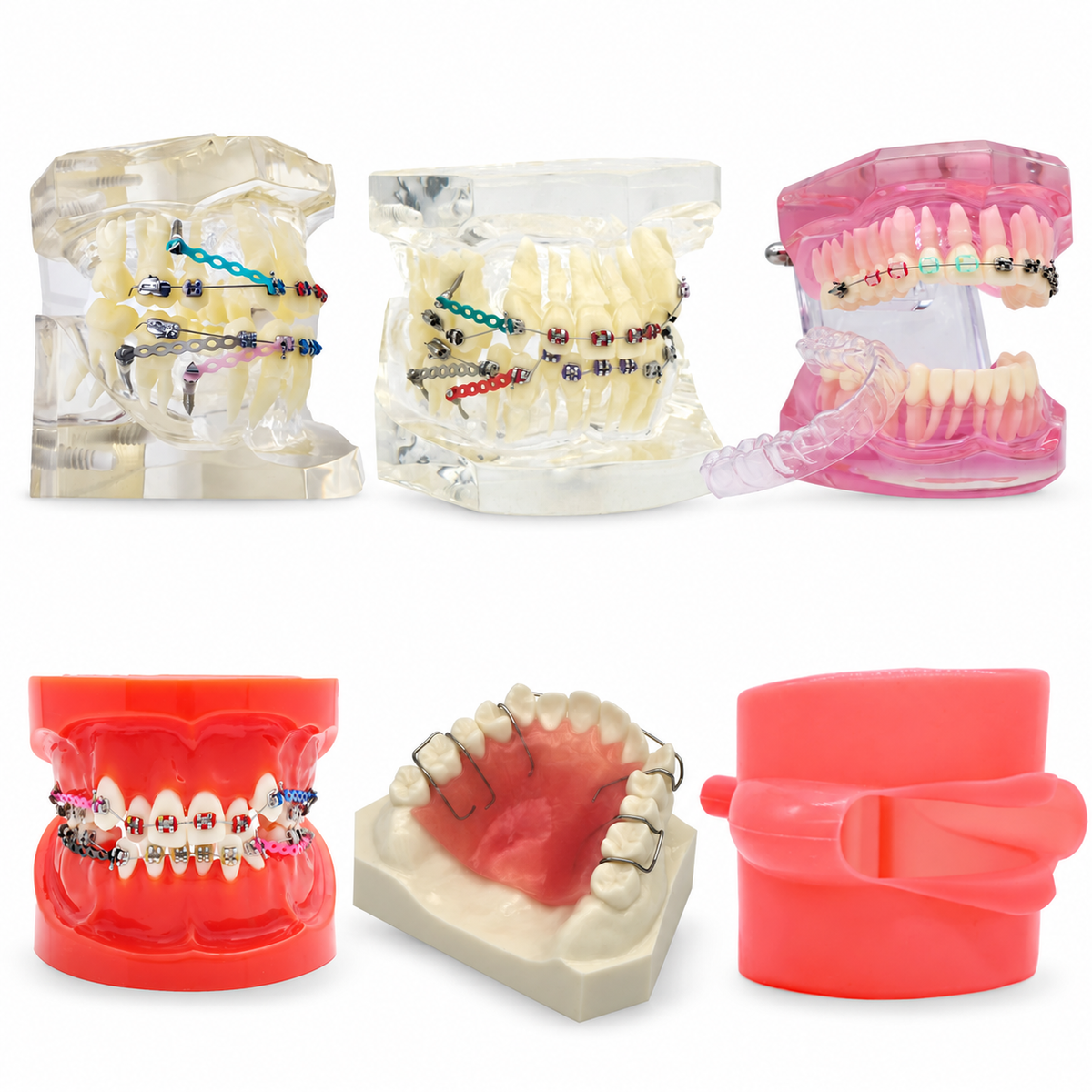 Dental Orthodontic Teaching Models and Cheek Simulator Options