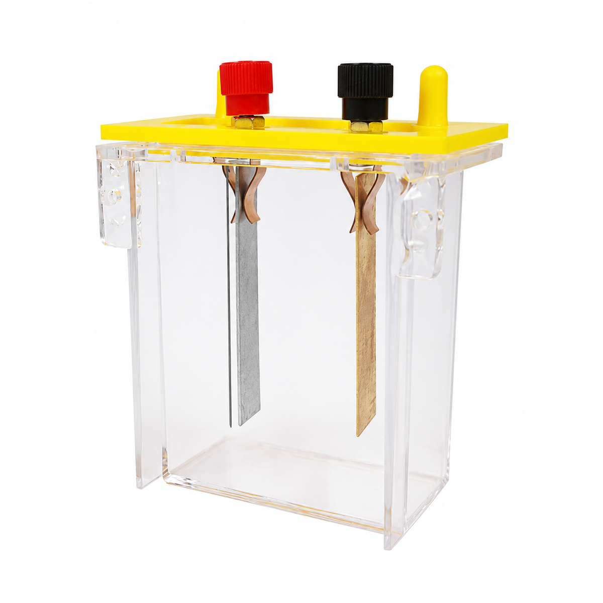 Fruit and Saltwater Battery Cell Experiment Box