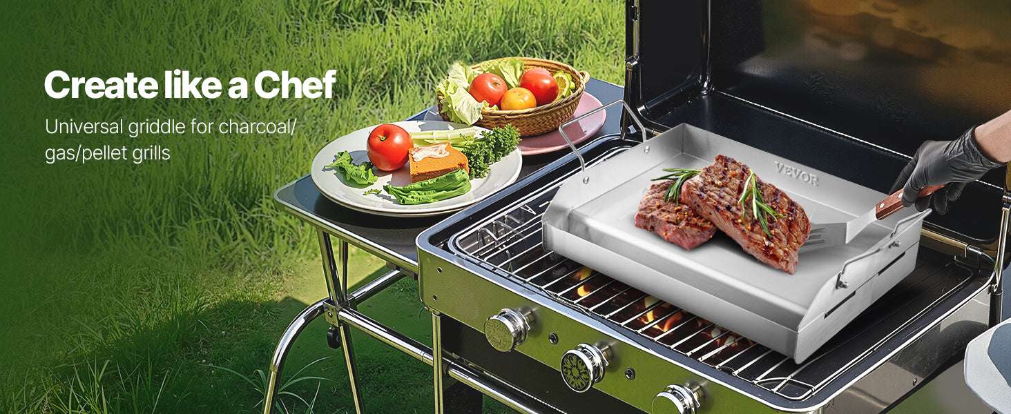 Stainless Steel Grill Griddle Plate Flat Top for BBQ & Camping-25x16 inch / spain