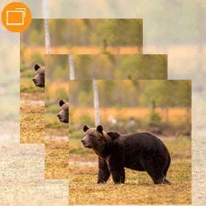 Suntekcam 20MP 1080P Trail Camera with 0.3s Trigger Time-HC-810M