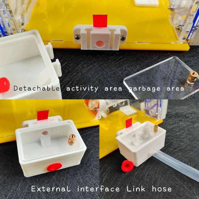T Design DIY Ant Farm with Feeding Area-Red