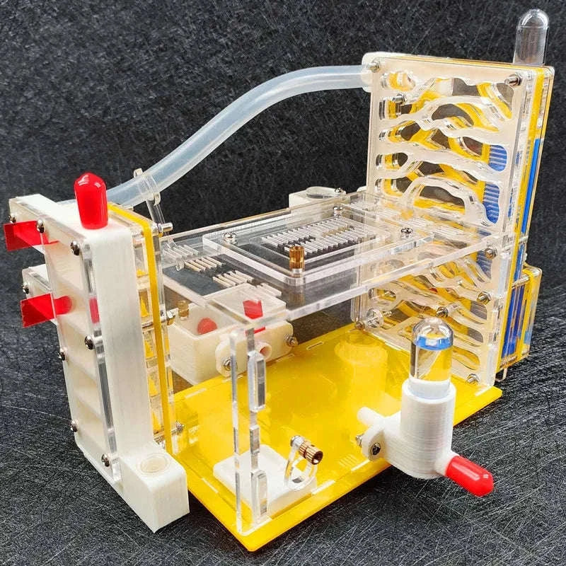 T Design DIY Ant Farm with Feeding Area-Red