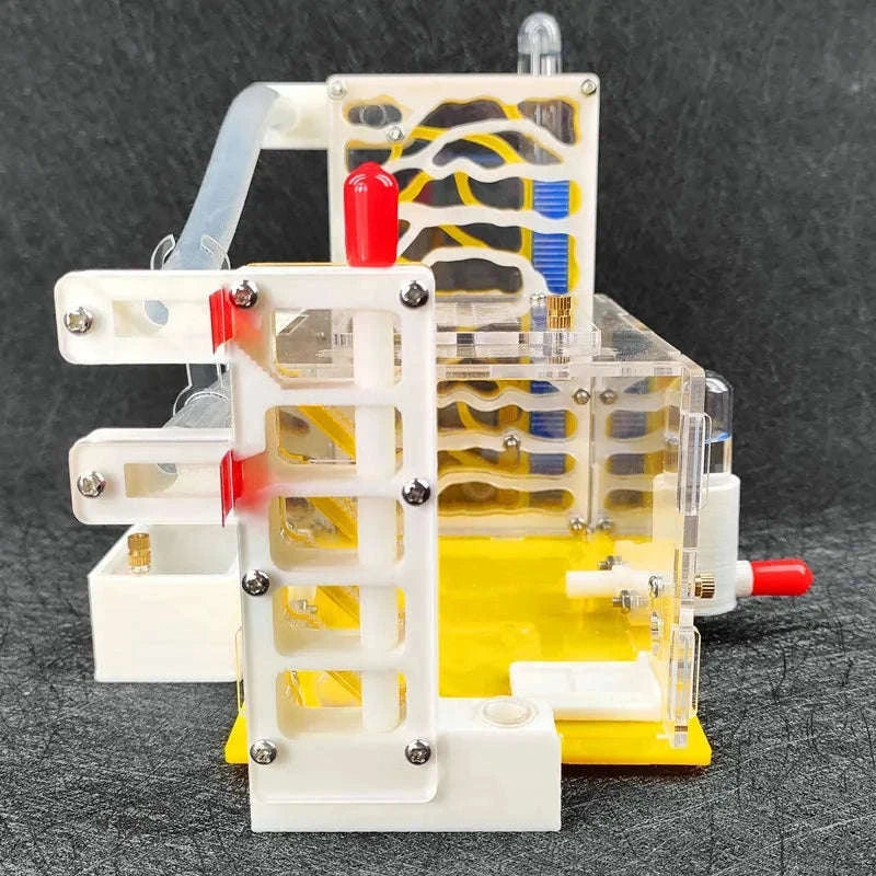 T Design DIY Ant Farm with Feeding Area-Red