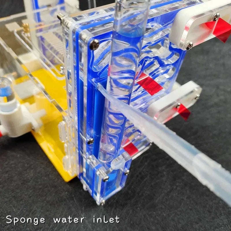 T Design DIY Ant Farm with Feeding Area-Red