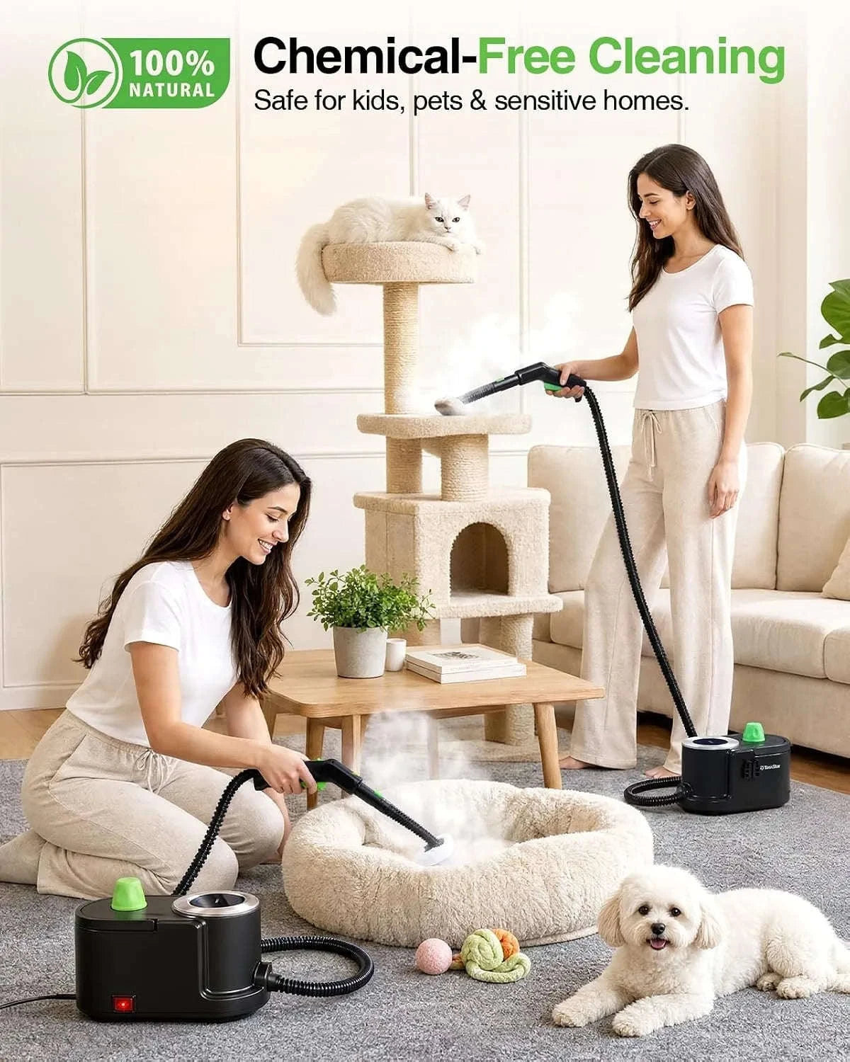 Taskstar 22-in-1 Steam Cleaner High Pressure Steam 1.6L Water TanK MultiFunction-United States / 100V-240V US Plug
