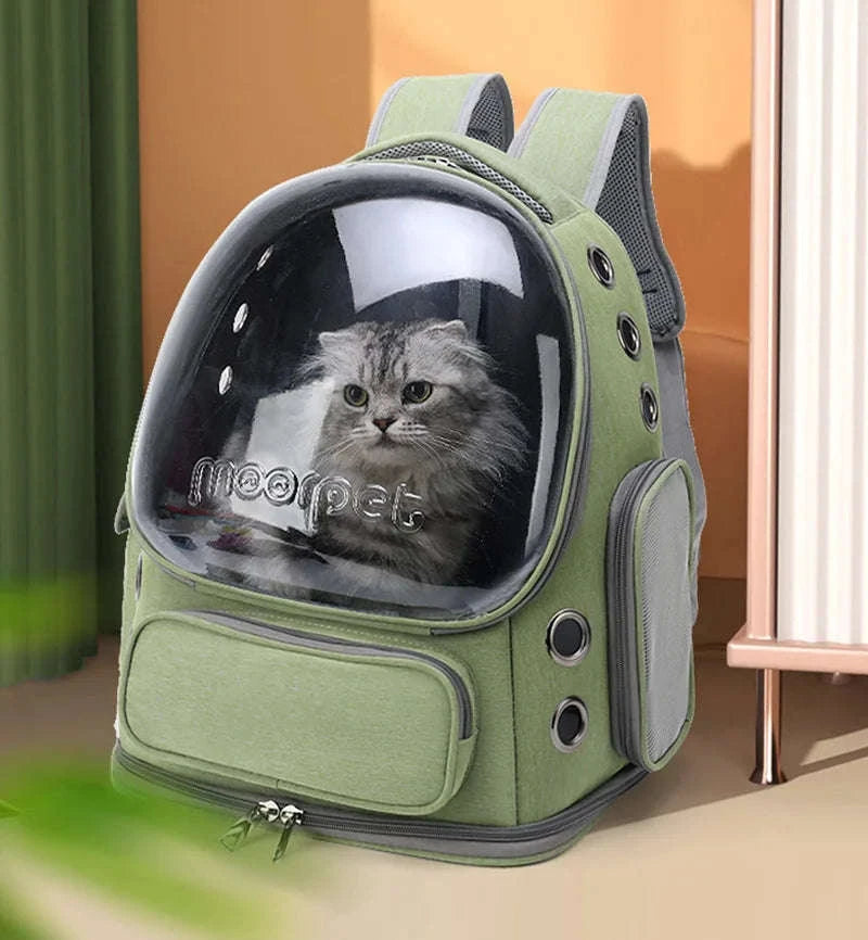 Transparent Pet Cat Carrier Backpack for Cats & Small Dogs-Grey