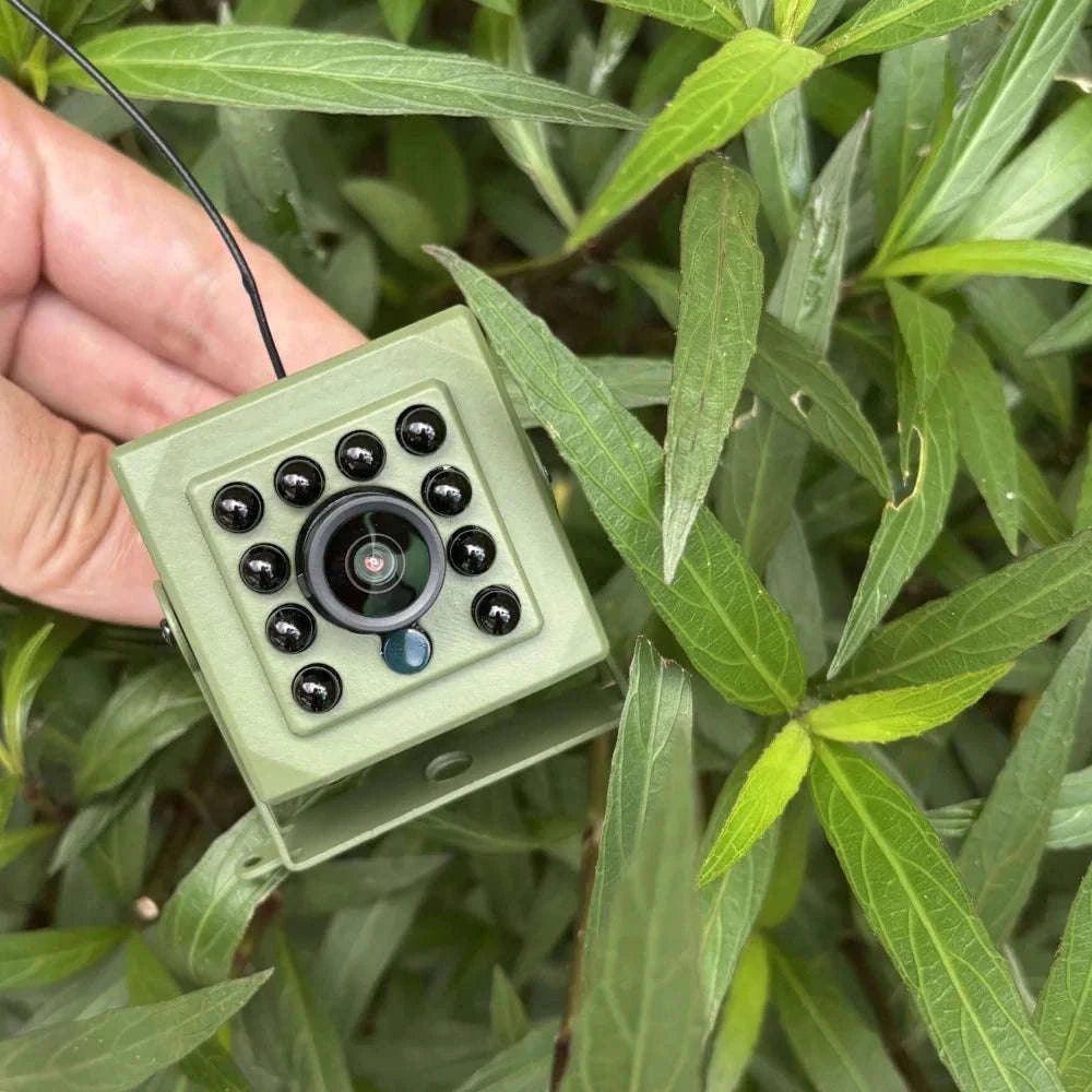 Tuya Smart Bird Watching Camera with Night Vision-4MP WIFI / 3.6mm