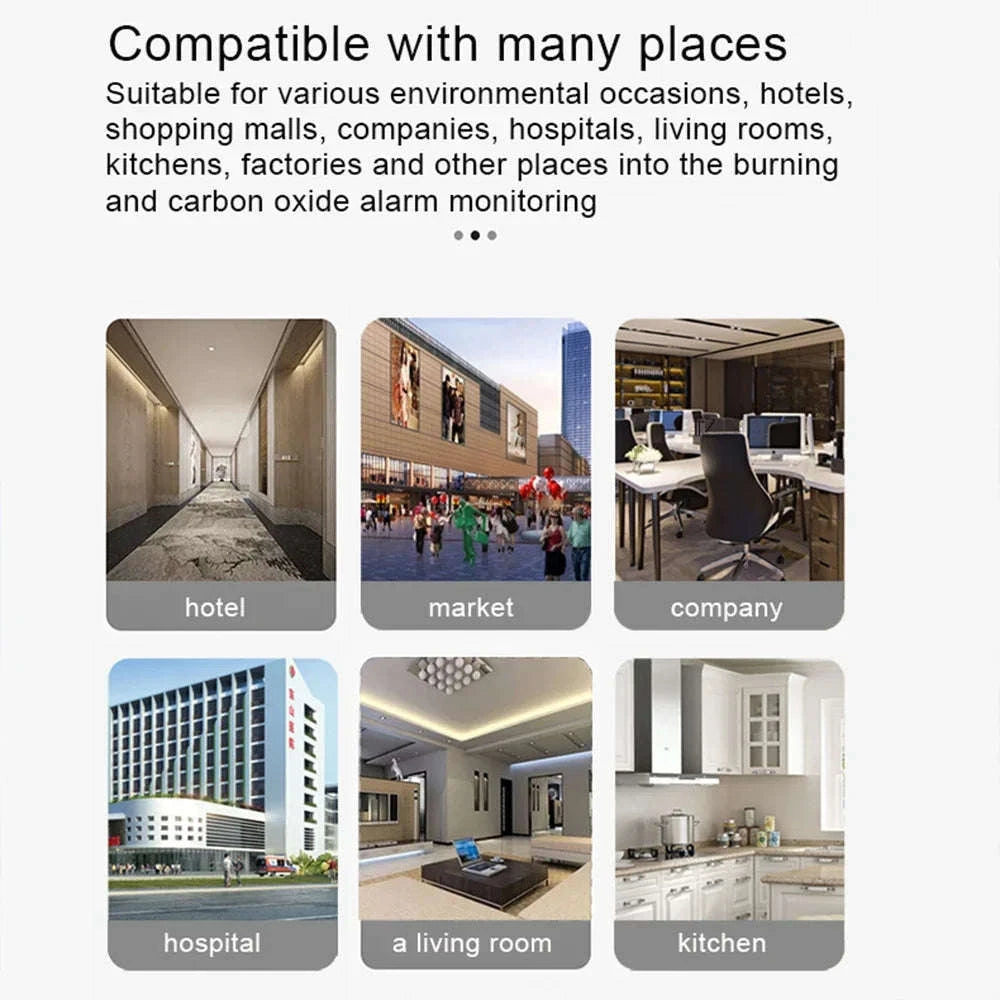 Tuya Smart Life Gas and CO Leak Detector WiFi Alarm-WIFI GAS